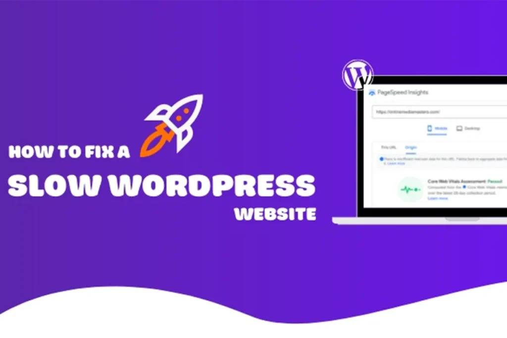 WordPress speed optimization dashboard 2025